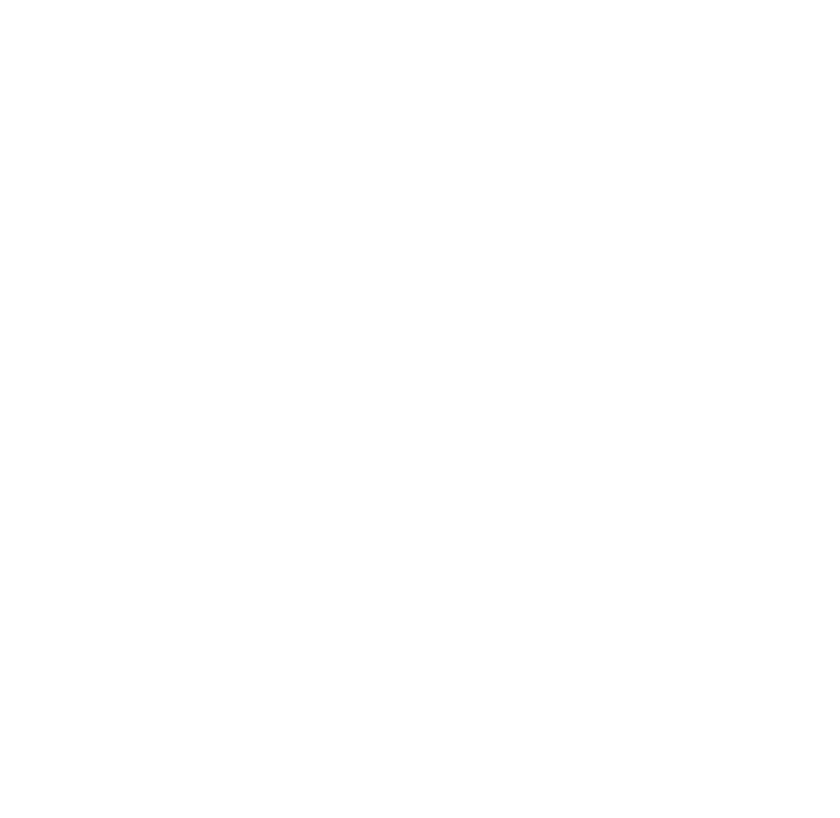 Reveal Timeless Shoes